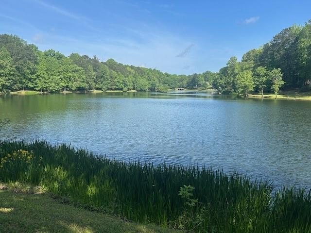 Located just minutes from I-20 and only 30 minutes to Atlanta - photo 37