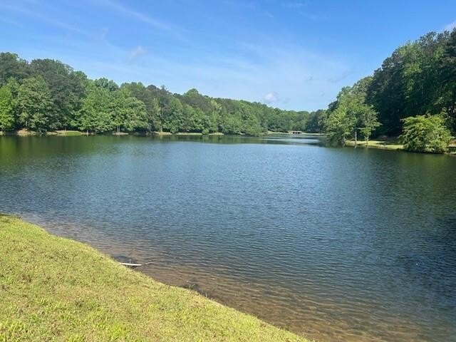 Located just minutes from I-20 and only 30 minutes to Atlanta - photo 38