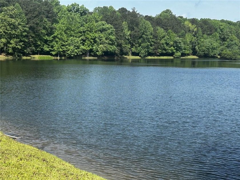 Located just minutes from I-20 and only 30 minutes to Atlanta - photo 39