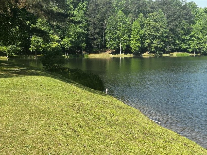 Located just minutes from I-20 and only 30 minutes to Atlanta - photo 40