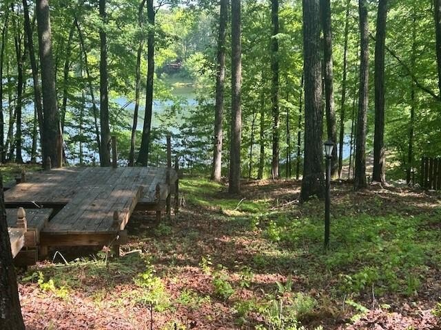 Located just minutes from I-20 and only 30 minutes to Atlanta - photo 41