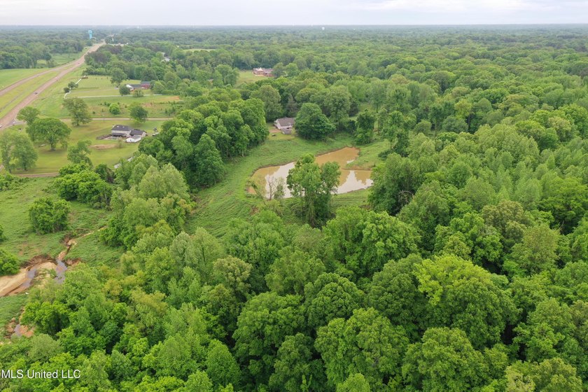 93+/- acres with long frontage on Hwy 302 (Goodman Rd) and also - photo 9