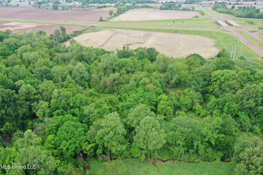 93+/- acres with long frontage on Hwy 302 (Goodman Rd) and also - photo 10