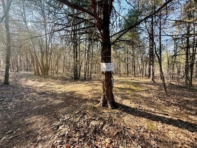 262+/- acre &amp; country home for sale with long frontage on the - photo 7