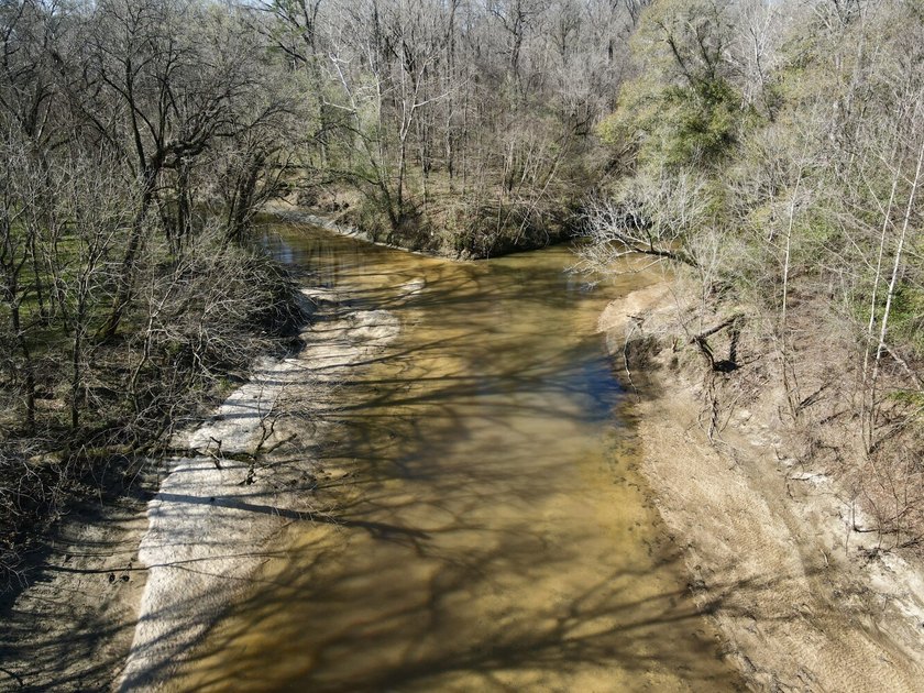 This waterfront, diverse Black Belt hunting and timber - photo 20