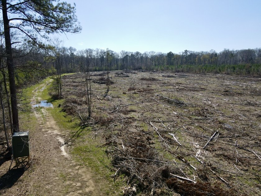 This waterfront, diverse Black Belt hunting and timber - photo 22