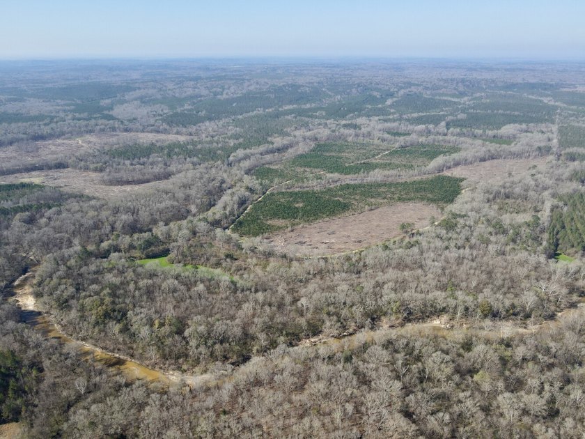 This waterfront, diverse Black Belt hunting and timber - photo 25