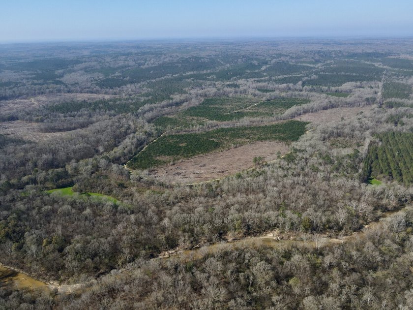 This waterfront, diverse Black Belt hunting and timber - photo 26