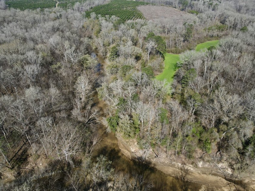 This waterfront, diverse Black Belt hunting and timber - photo 28