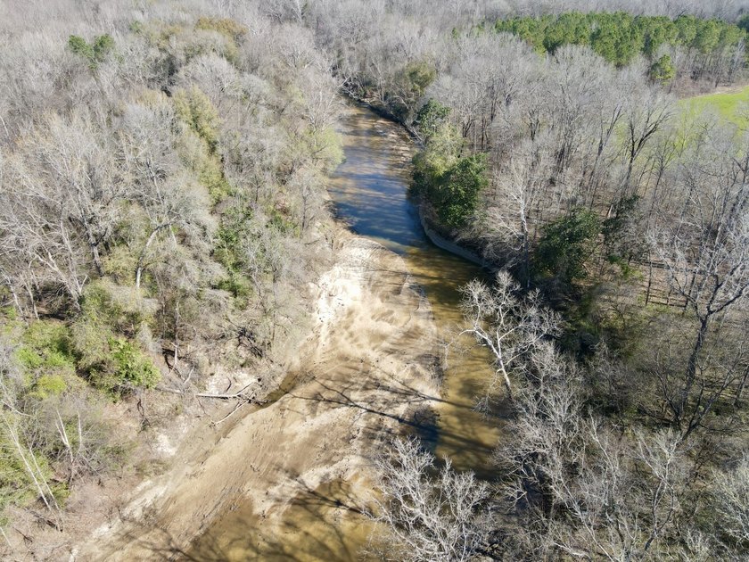 This waterfront, diverse Black Belt hunting and timber - photo 29