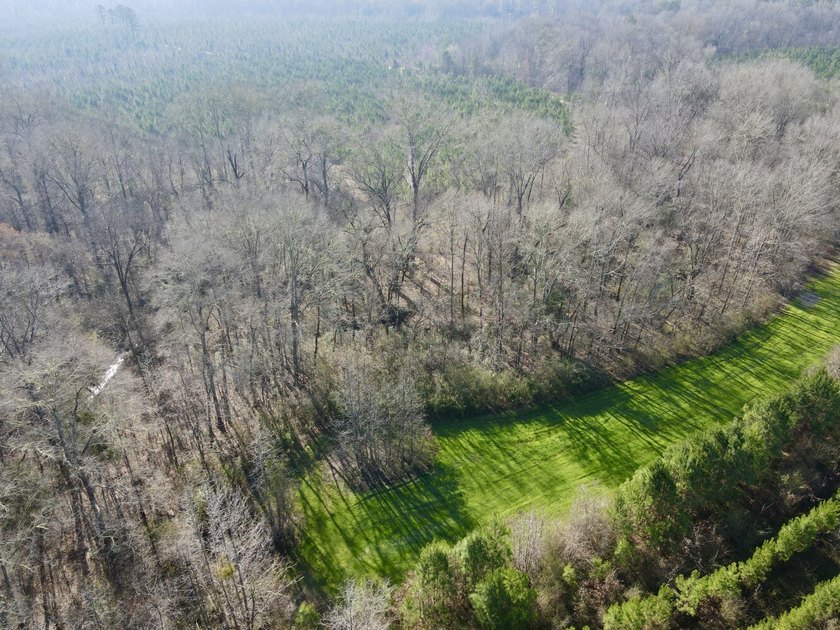 This waterfront, diverse Black Belt hunting and timber - photo 32