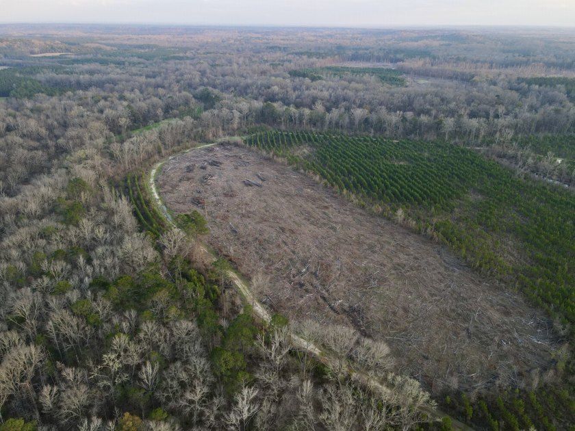 This waterfront, diverse Black Belt hunting and timber - photo 40