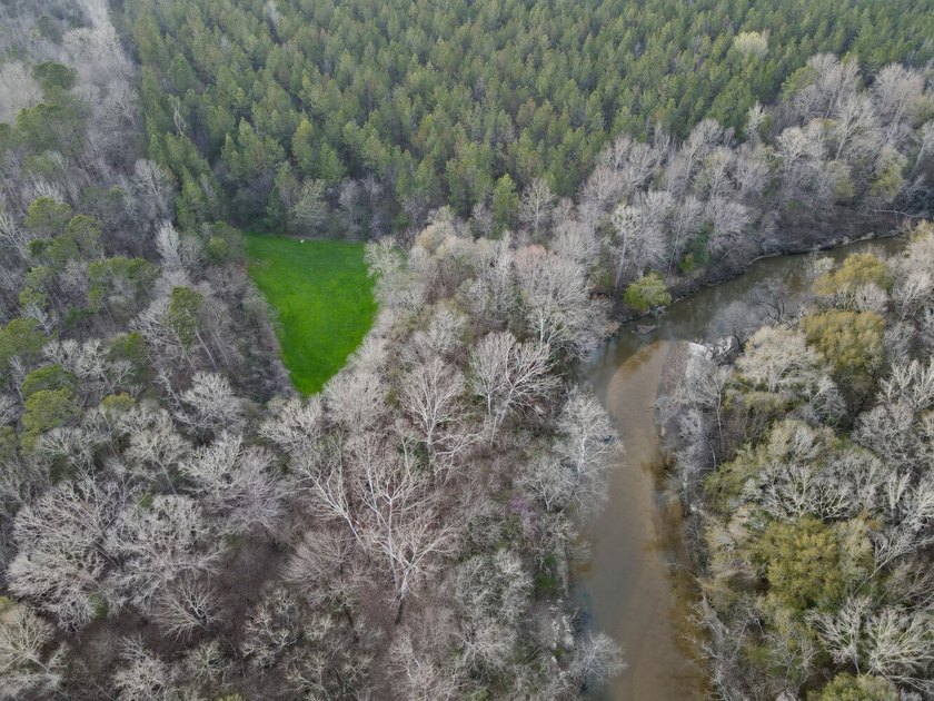 This waterfront, diverse Black Belt hunting and timber - photo 41