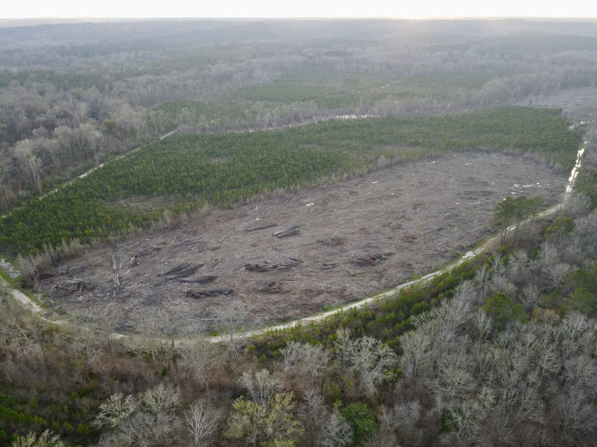 This waterfront, diverse Black Belt hunting and timber - photo 42