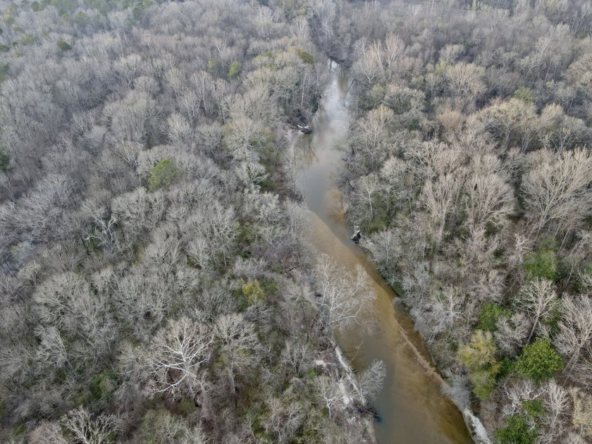 This waterfront, diverse Black Belt hunting and timber - photo 43