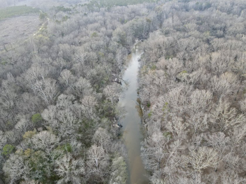 This waterfront, diverse Black Belt hunting and timber - photo 44