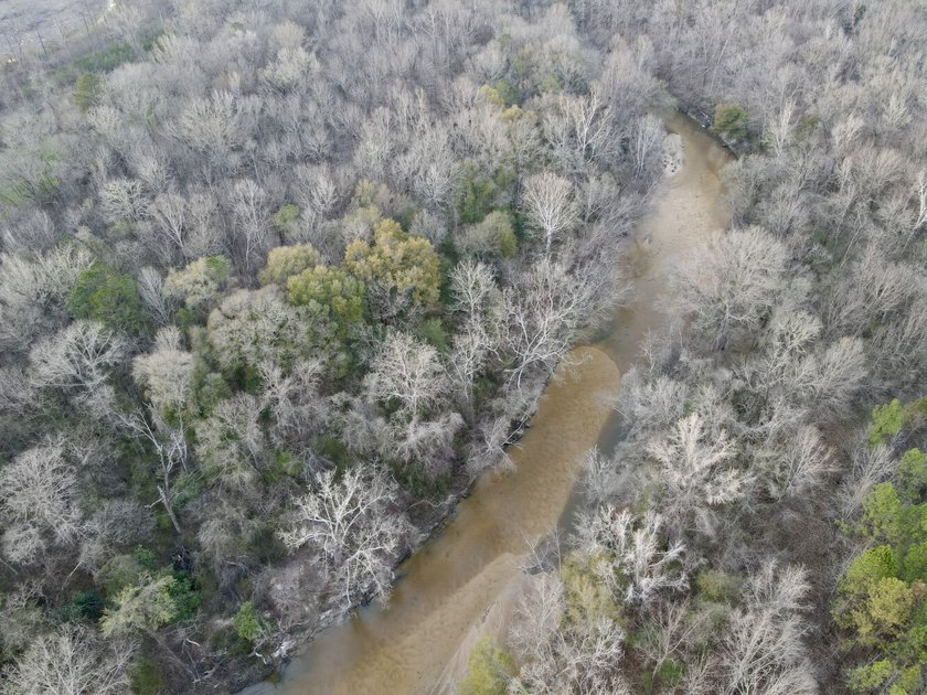 This waterfront, diverse Black Belt hunting and timber - photo 45
