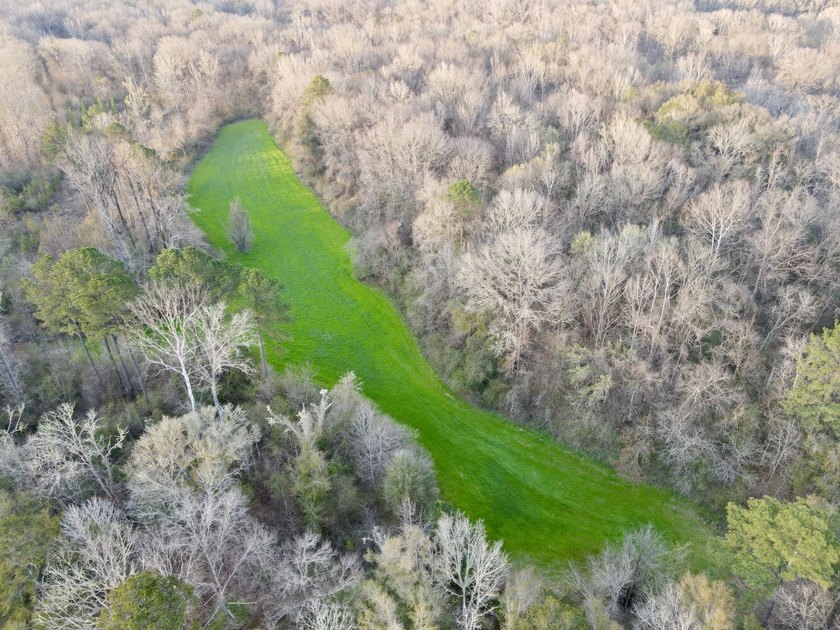 This waterfront, diverse Black Belt hunting and timber - photo 46