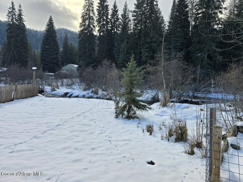Prime location! About five minutes to Priest Lake with your own - photo 13