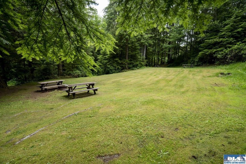 An incredible opportunity to own The Lost Resort, a rustic - photo 42