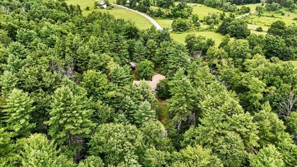 Country Home with Peaceful Outdoor Living set on 10.61 wooded - photo 11