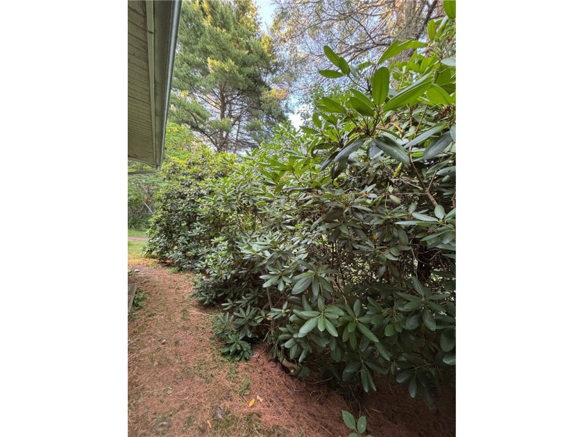 Country Home with Peaceful Outdoor Living set on 10.61 wooded - photo 16