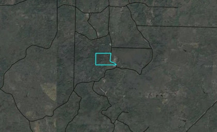 Discover 100 acres of secluded timberland off Max Road in - photo 2