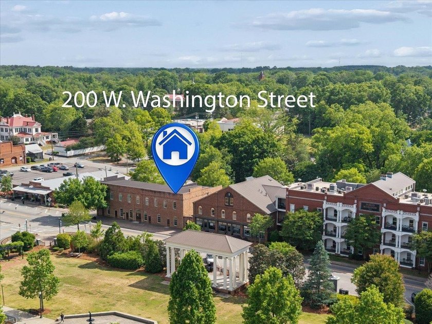 Charming downtown Madison condo located directly across from - photo 28