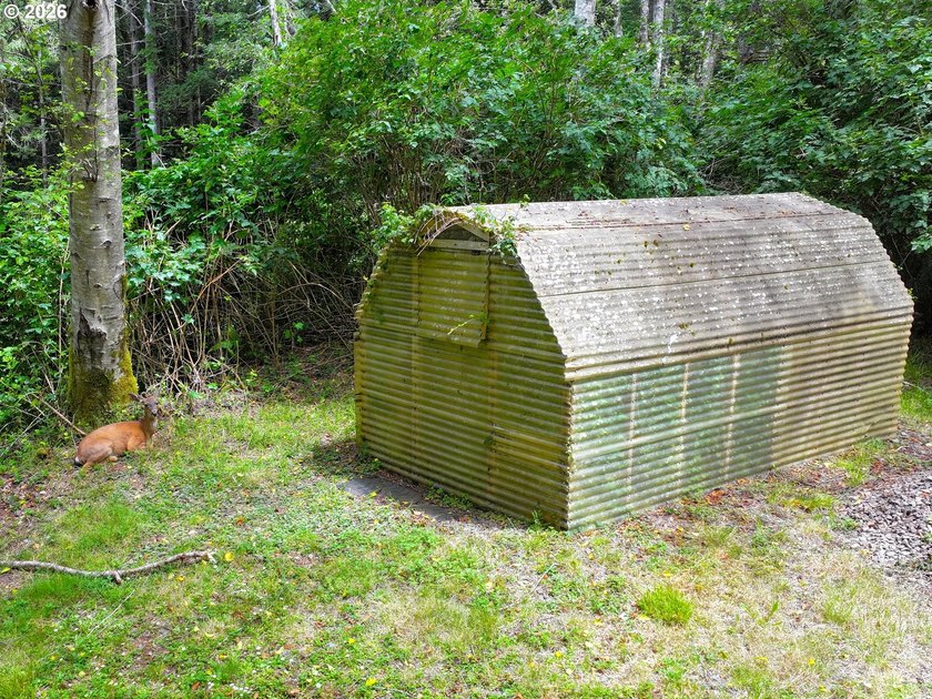 **Private Woodland Property with Two Homes &amp; Income - photo 46