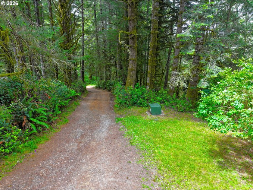 **Private Woodland Property with Two Homes &amp; Income - photo 47