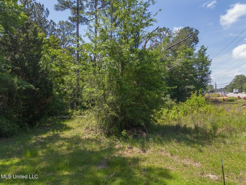 Prime Commercial Opportunity! Take advantage of this 0.33-acre - photo 2