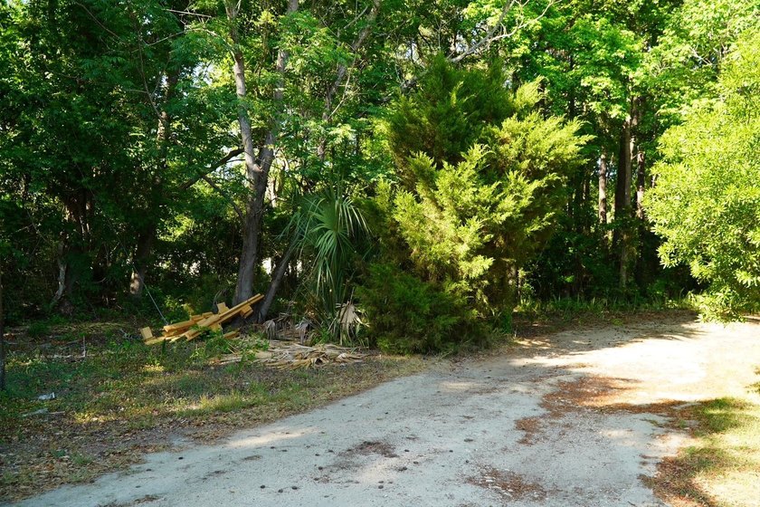 Nine parcels on 1.75 acres in the city of Georgetown! Mixed with - photo 7