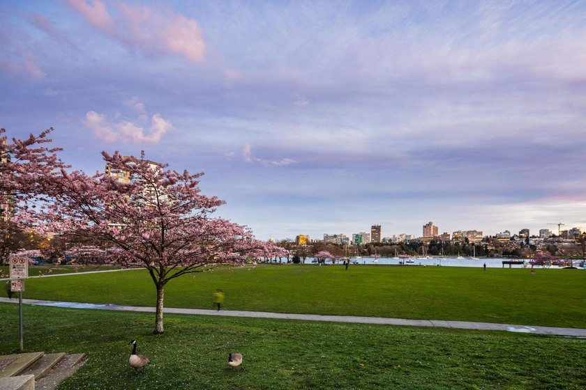 Welcome to this exquisitely renovated 2 bed, 2 bath residence in - photo 33