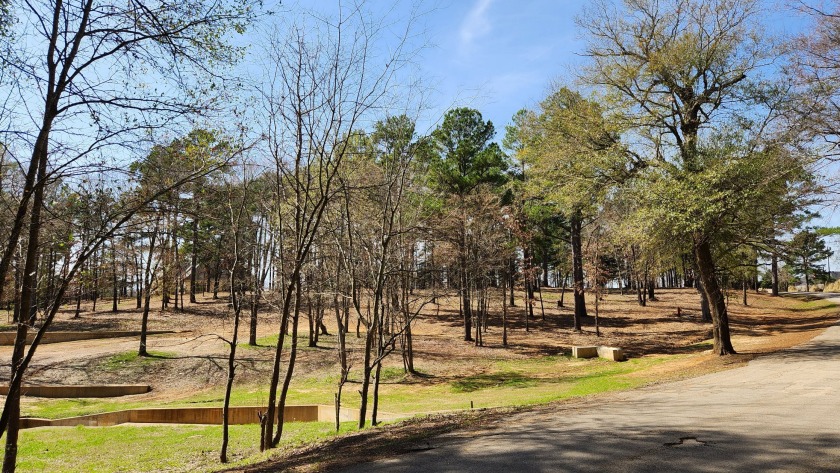 Waterfront Lot in Mallards Cove - photo 4