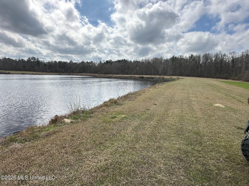 Beautiful 23 acre lakefront tract located on Barnes Road just - photo 11