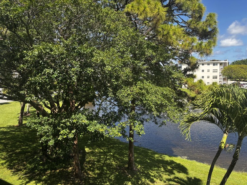 Your opportunity to own a piece of paradise. Location and - photo 28