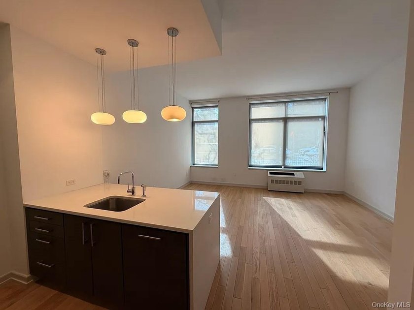 Welcome to Luxury Condo (not a co-op) 1D at 21-45 44th Drive - a - photo 4
