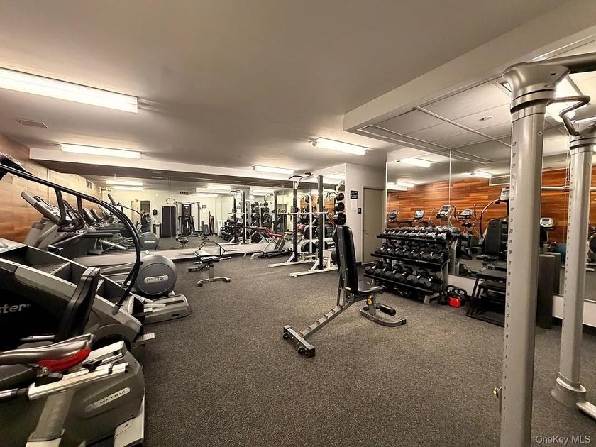 Welcome to Luxury Condo (not a co-op) 1D at 21-45 44th Drive - a - photo 9