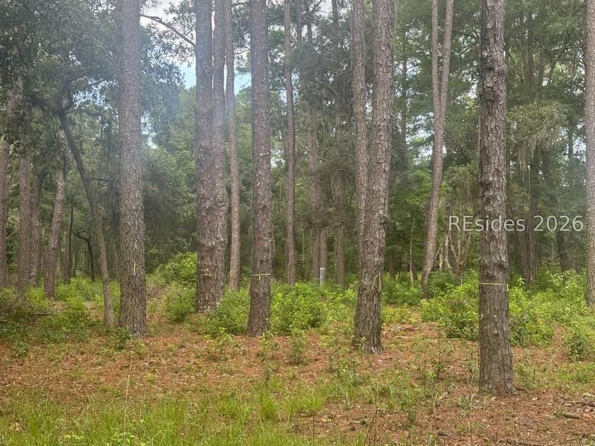 Build your dream home on this exceptional homesite at 330 School - photo 2