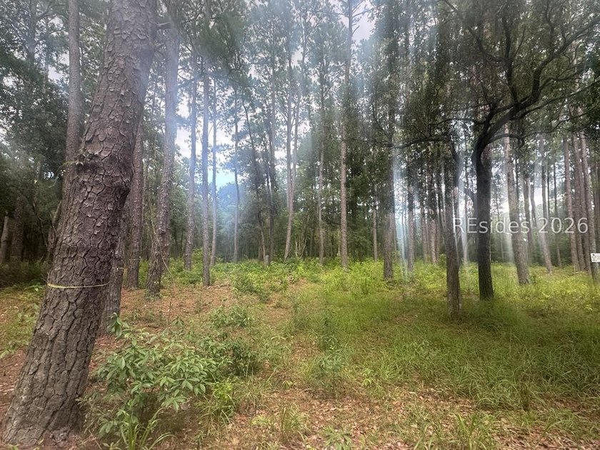 Build your dream home on this exceptional homesite at 330 School - photo 3
