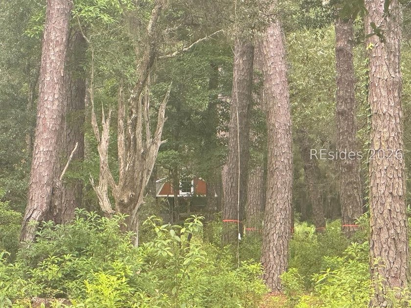 Build your dream home on this exceptional homesite at 330 School - photo 5