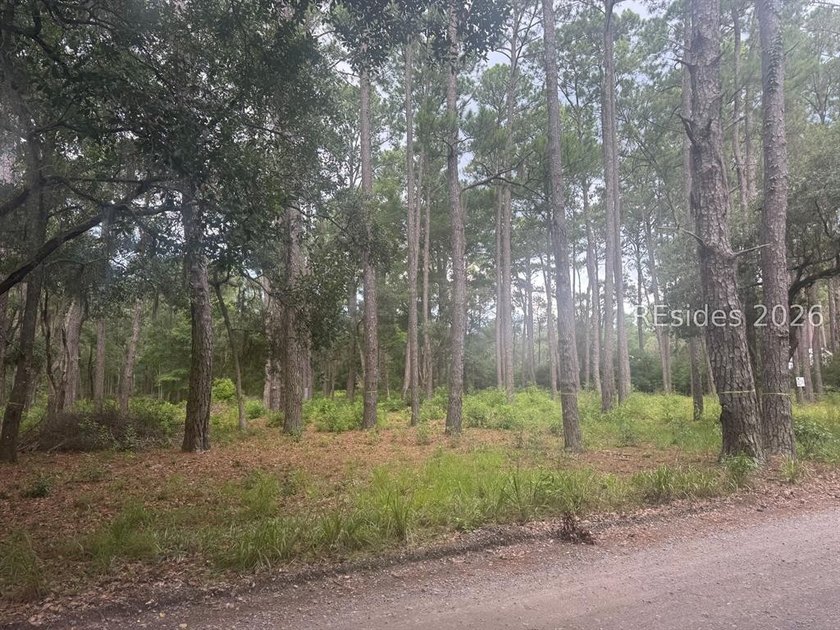 Build your dream home on this exceptional homesite at 330 School - photo 6