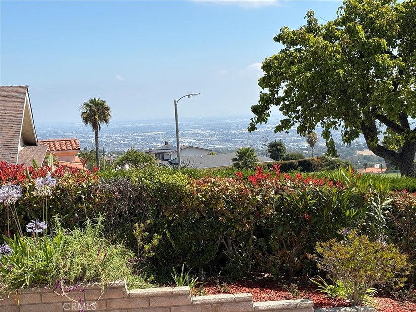 Beautiful 4 bedrooms and 3 bathrooms home in a very desirable - photo 3