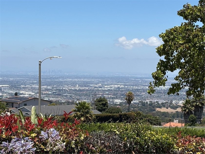 Beautiful 4 bedrooms and 3 bathrooms home in a very desirable - photo 4