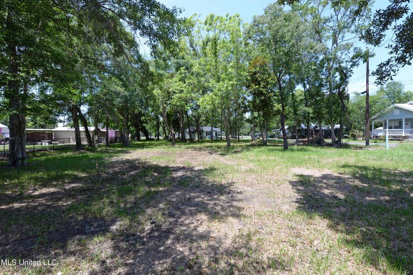 Explore the possibilities with this 1/2 acre acre commercial lot - photo 11