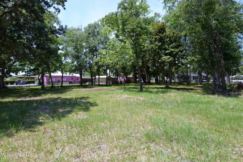 Explore the possibilities with this 1/2 acre acre commercial lot - photo 12