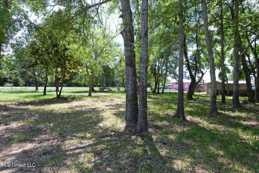 Explore the possibilities with this 1/2 acre acre commercial lot - photo 14