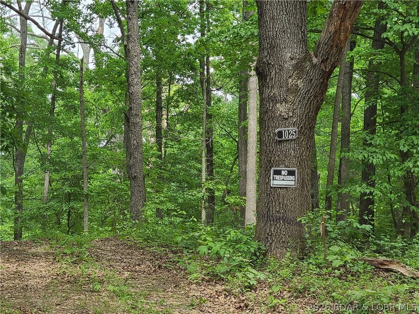 Featuring five acres of wooded privacy and a rustic cabin. Enjoy - photo 26