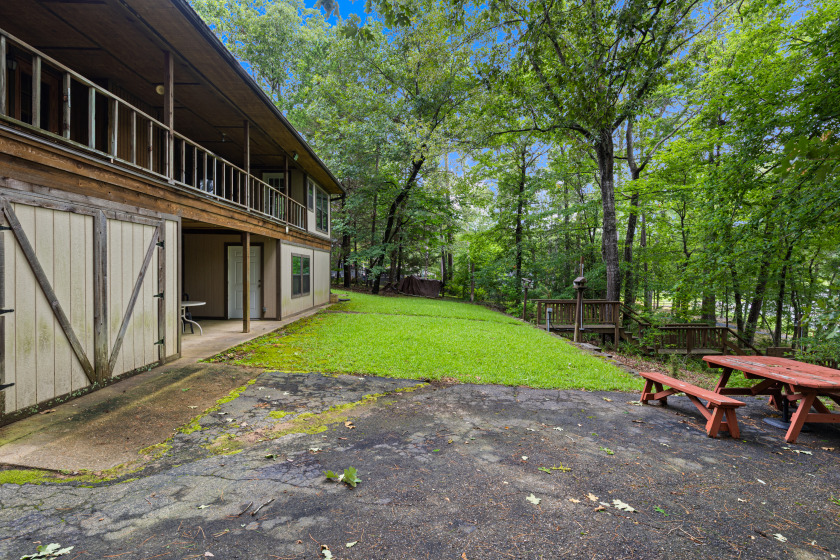 Back Yard - photo 13