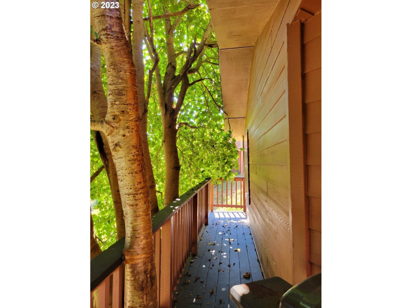 Spacious Cabin at Whaleshead Beach Resort! Two Bedrooms, two - photo 29